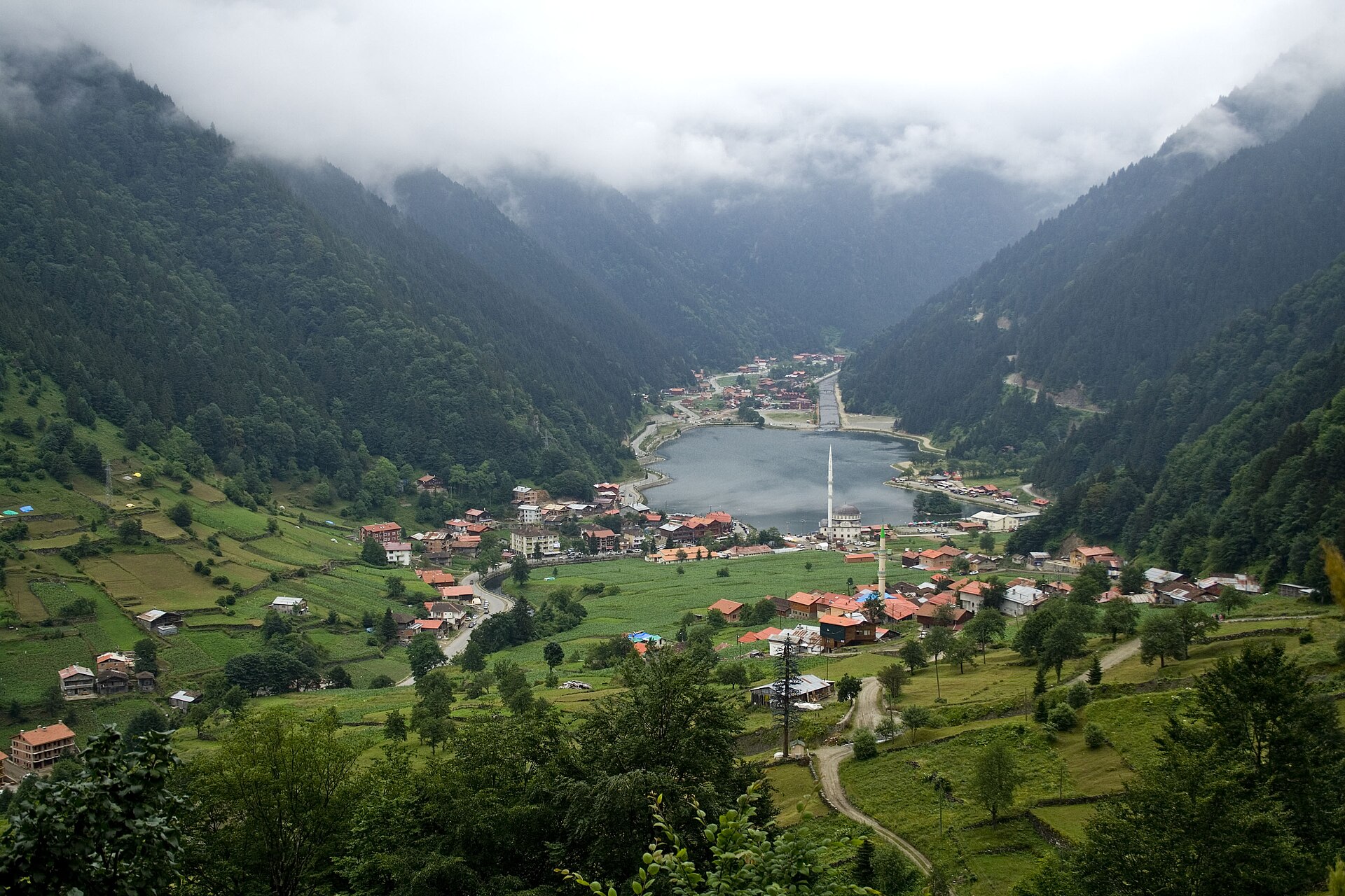 Karadeniz Yaylaları Rehberi: Rakım, Ulaşım ve Sezon