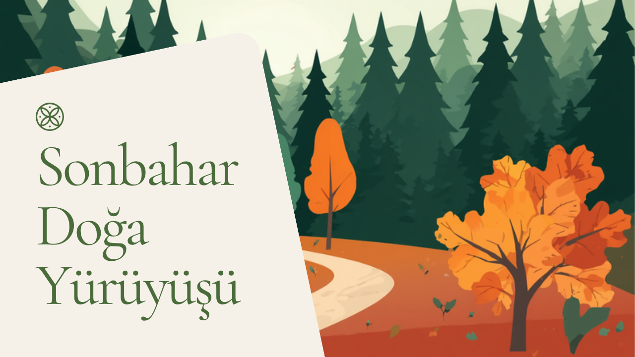Sonbahar doğa yürüyüşü rotaları görseli