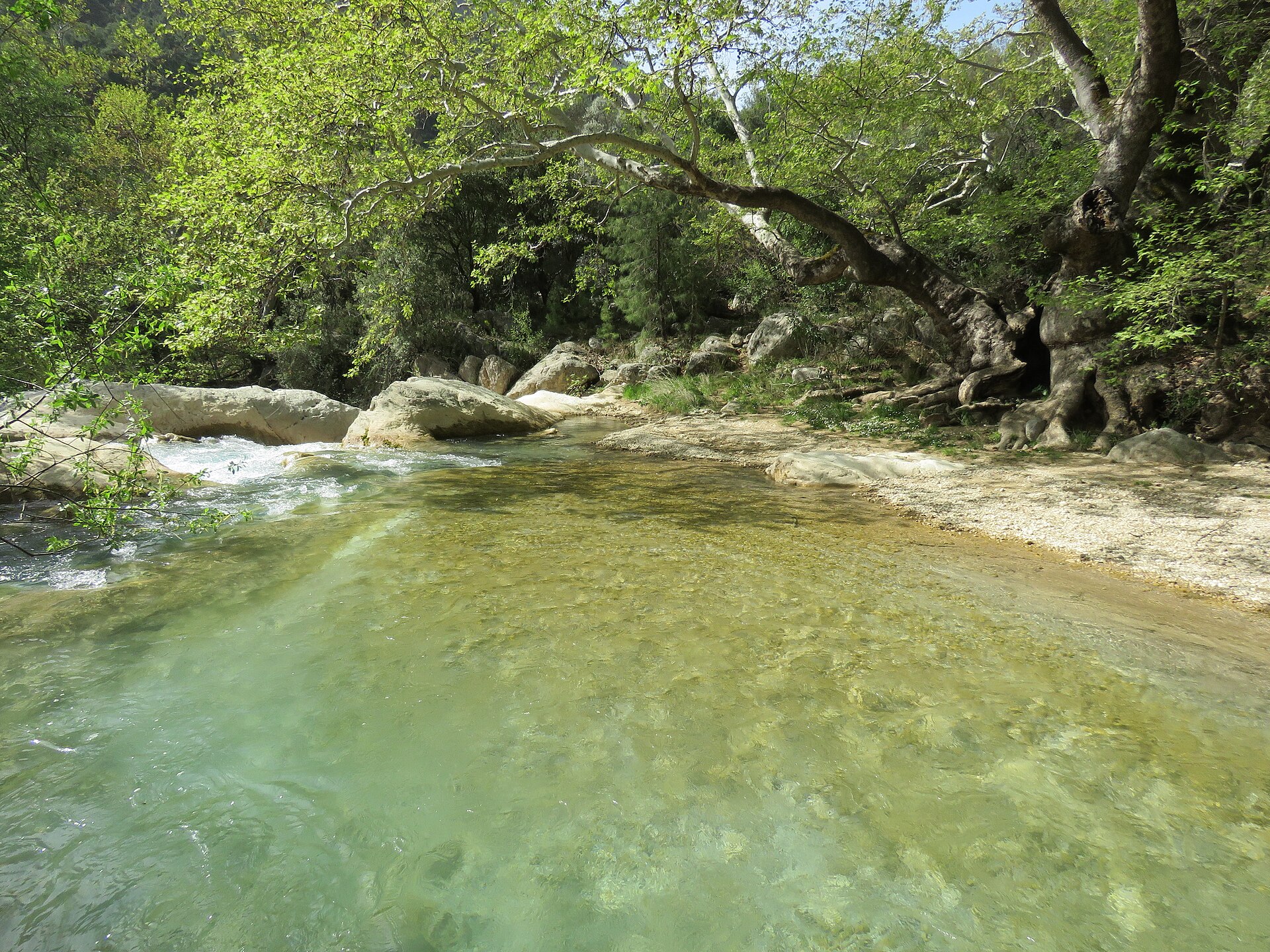Türkiye’nin En Güzel Kanyonları: Rotalar, Ücretler ve Güvenlik